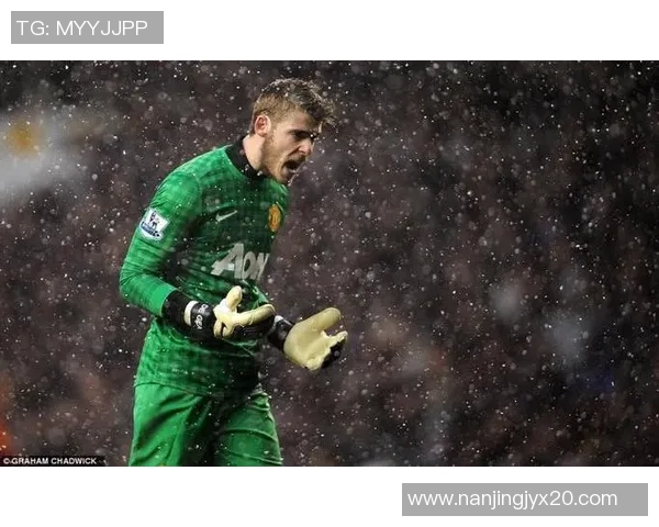 德赫亚：从青涩门将到世界足球明星的辉煌历程与传奇故事