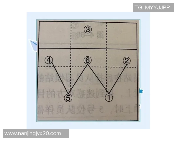 杭州排球队最新战术解析排球战术TOP10全面解读