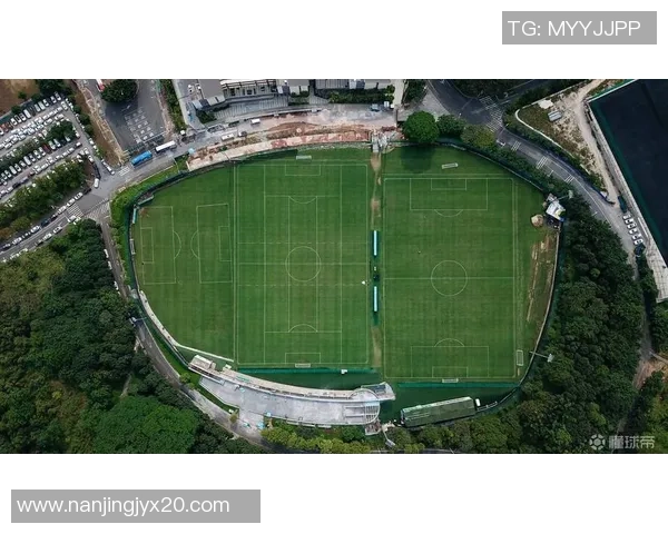 广州乒乓球队实力解析：从训练到比赛的全方位探讨与展望